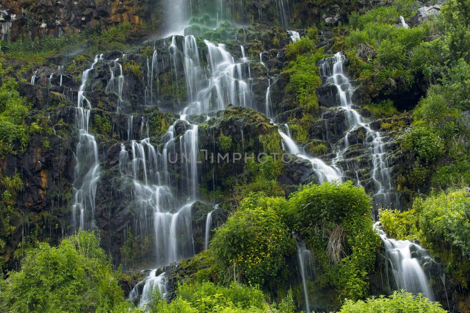 A close up photo of lush waterfalls at Thousand Springs near Hagerman, Idaho.