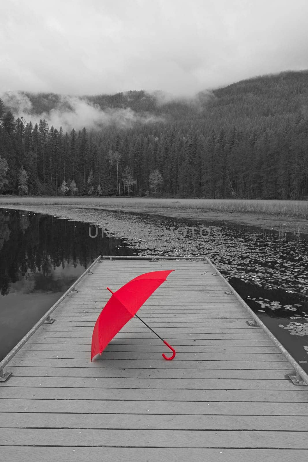 A concept black and white photo of a colored red umbrella resting on a dock at Sinclair Lake in north Idaho.
