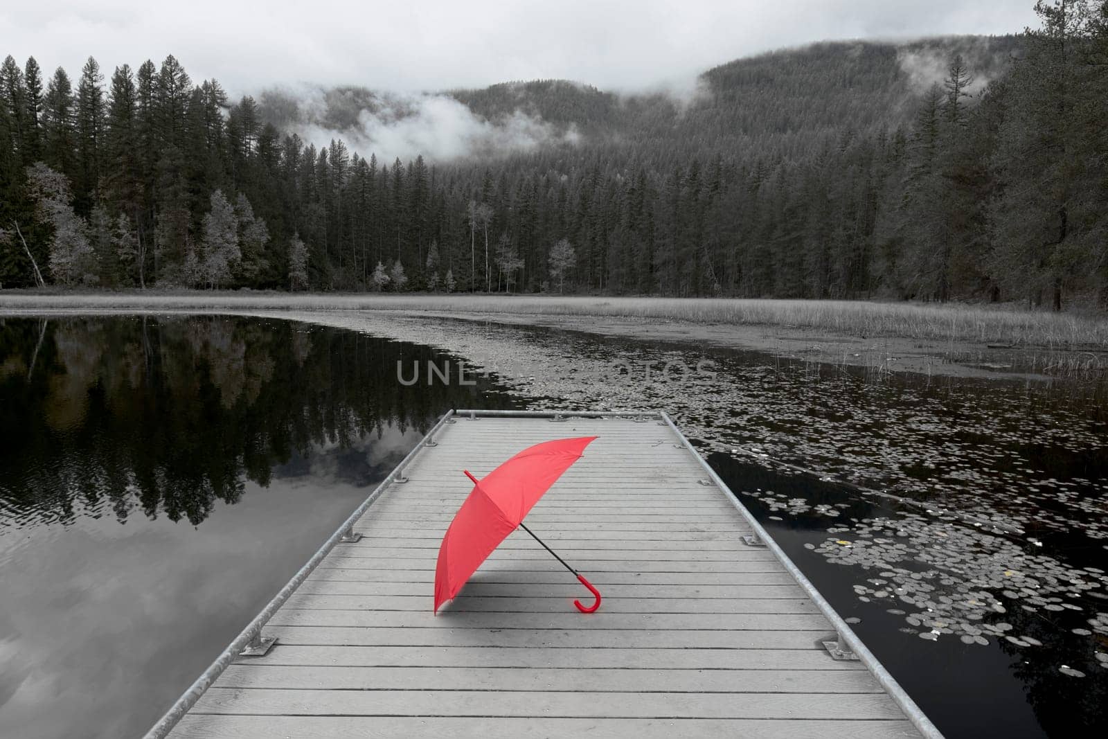 A concept black and white photo of a colored red umbrella resting on a dock at Sinclair Lake in north Idaho.