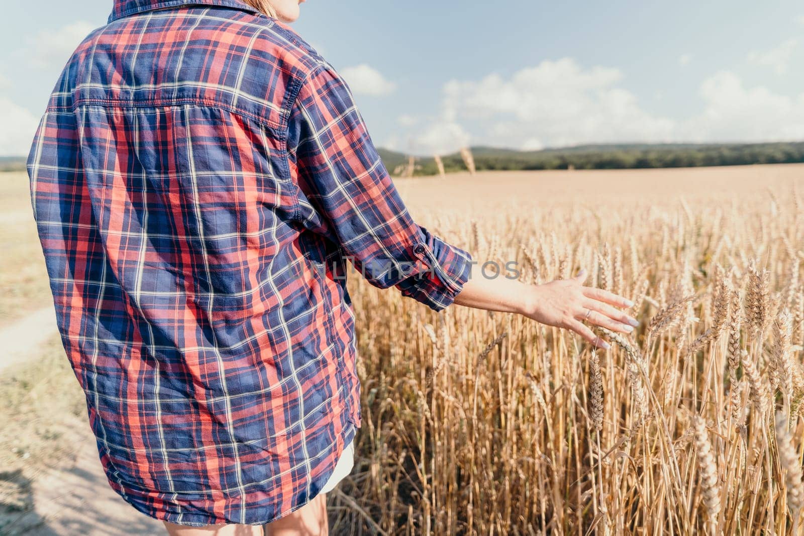 A woman wearing a plaid shirt reaches out to touch a field of wheat, bathed in warm sunlight.