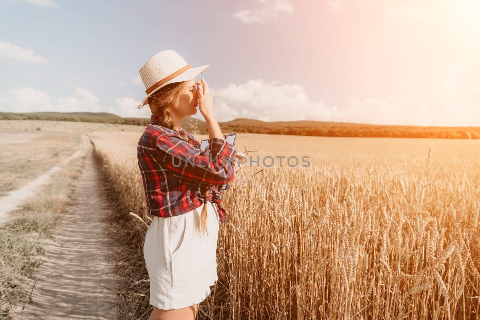 Woman farmer walks through a wheat field at sunset, touching green ears of wheat with his hands. Hand farmer is touching ears of wheat on field in sun, inspecting her harvest. Agricultural business.
