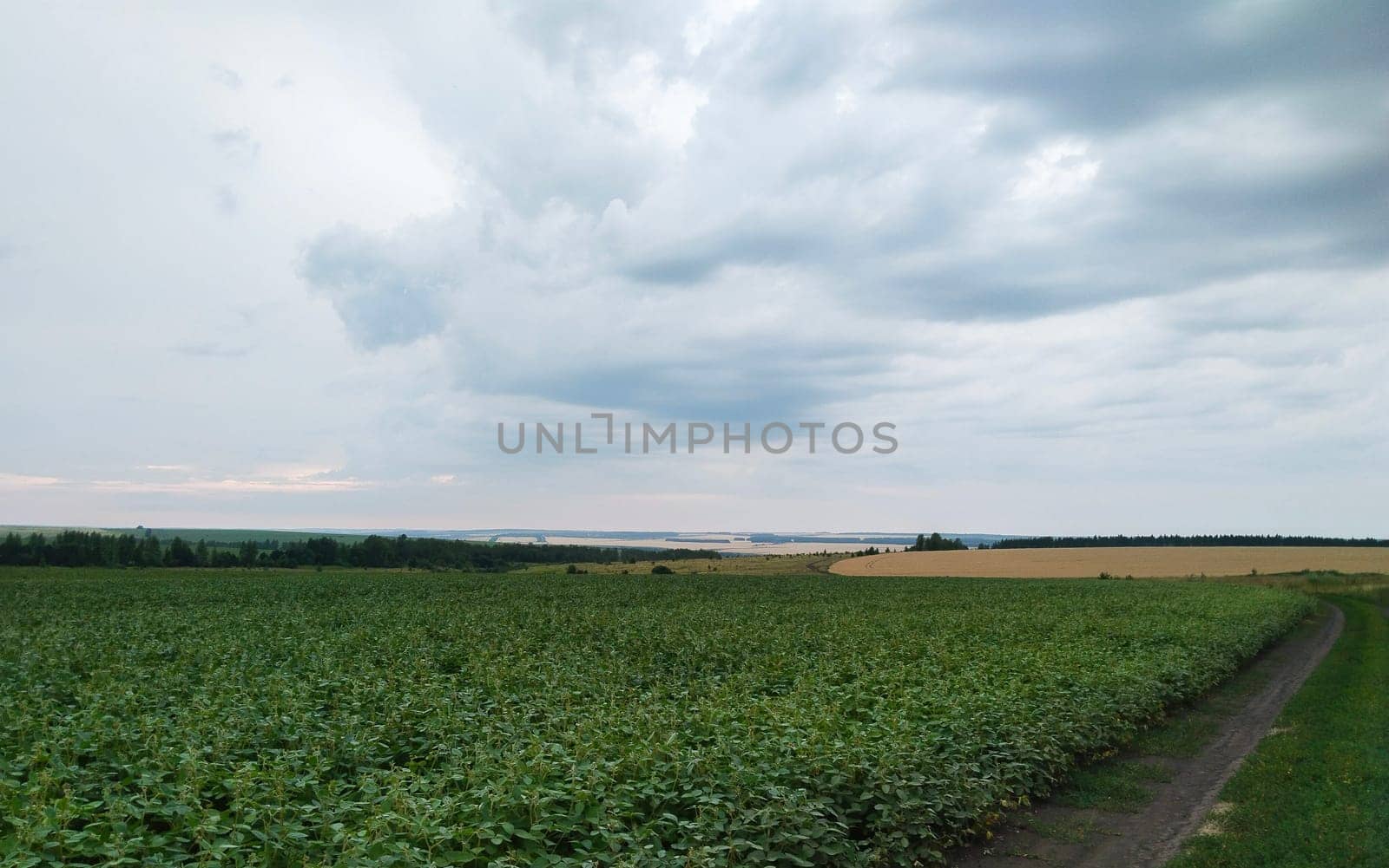A dirt path winds through a vast green field under a cloudy sky. The distant horizon features a line of trees and a body of water.