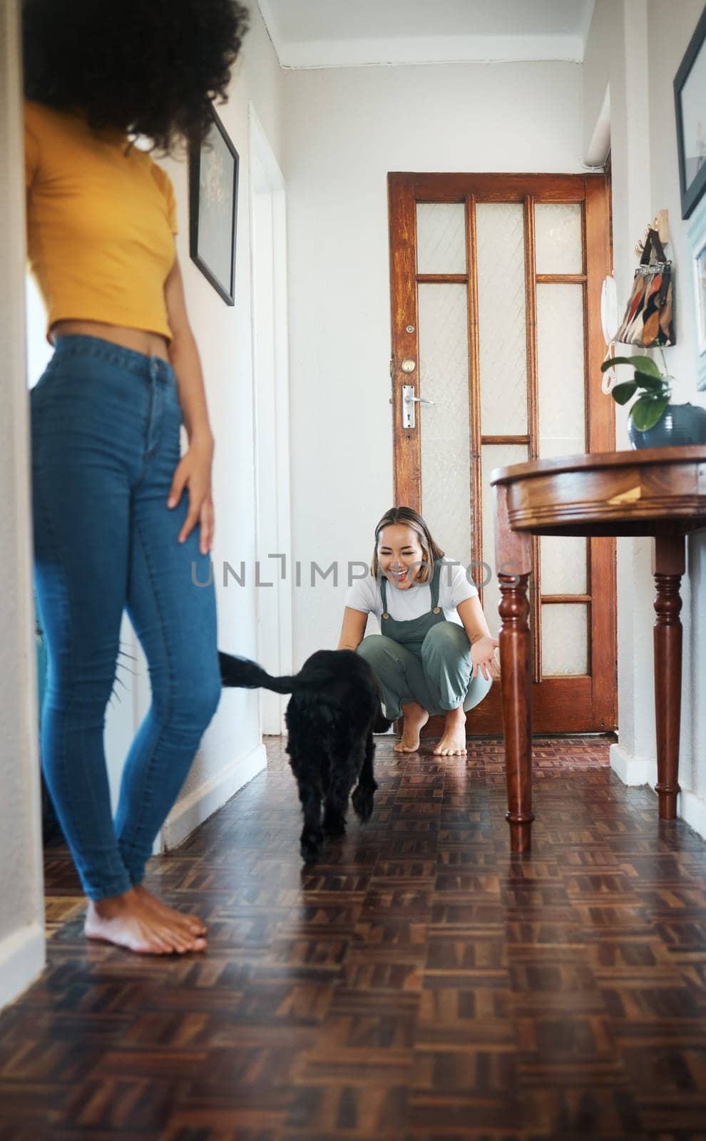 Dog, house and happy lesbian couple play, bonding or having fun together. Pet, gay women smile with animal in hallway and care in healthy relationship, love connection and lgbt people in home by YuriArcurs