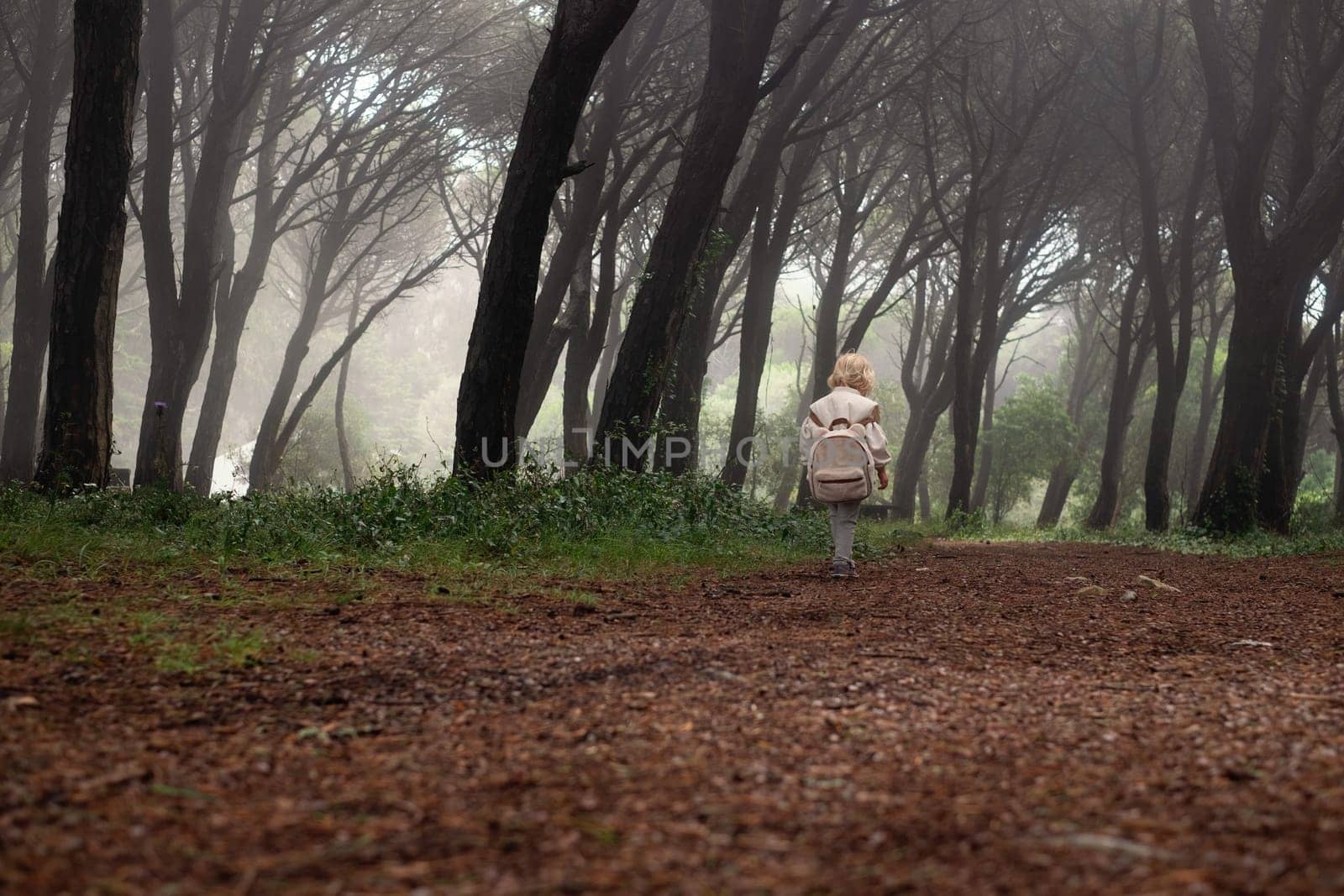 caucasian toddler walking in the wild forest together walking in a park