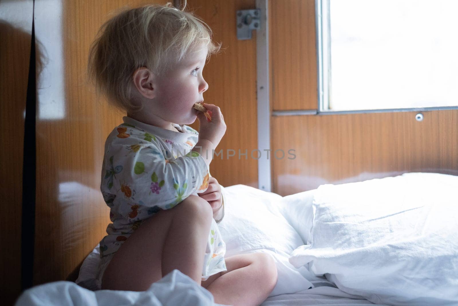 Caucasian toddler Traveling by Train, Looking through Glass Window.