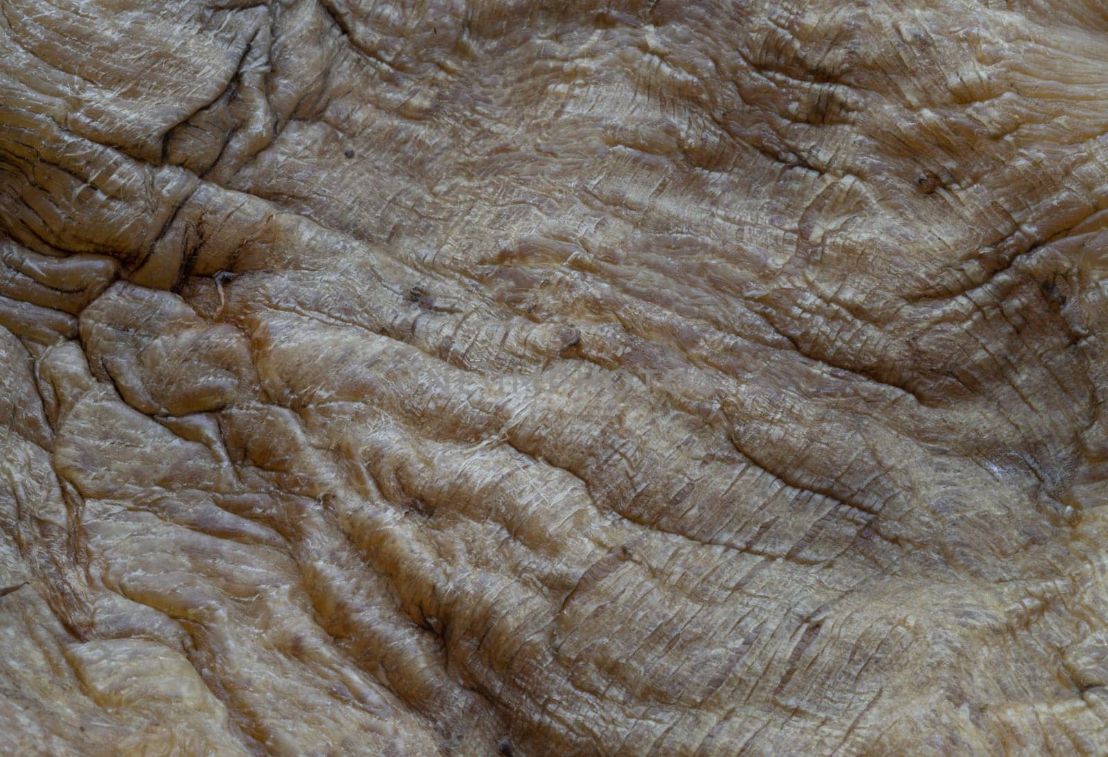 Close-up of Fish Maw Soup or Dried Fish Stomach (Dried Fish Bladder). Chinese dried food, Healthy eating lifestyle concept, Space for text, Selective focus.
