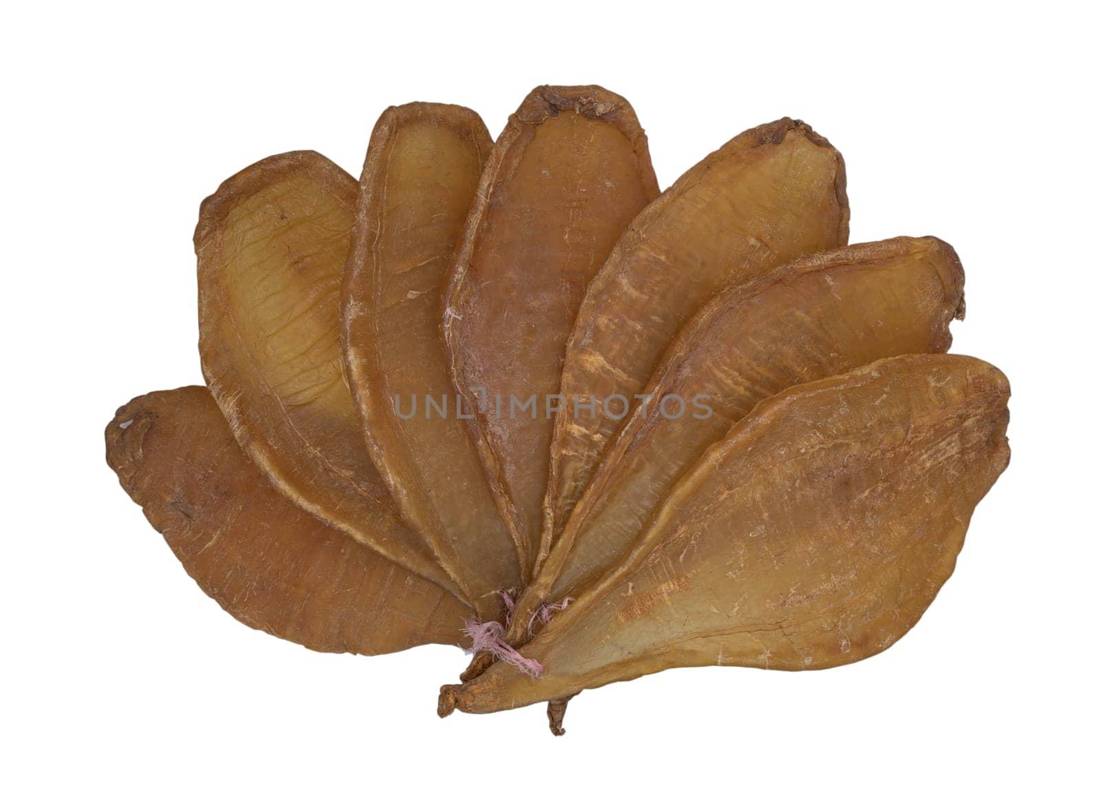 Fish Maw Soup or Dried Fish Stomach (Dried Fish Bladder) isolated on white background with clipping path. Chinese dried food, Healthy eating lifestyle concept, Space for text, Selective focus.