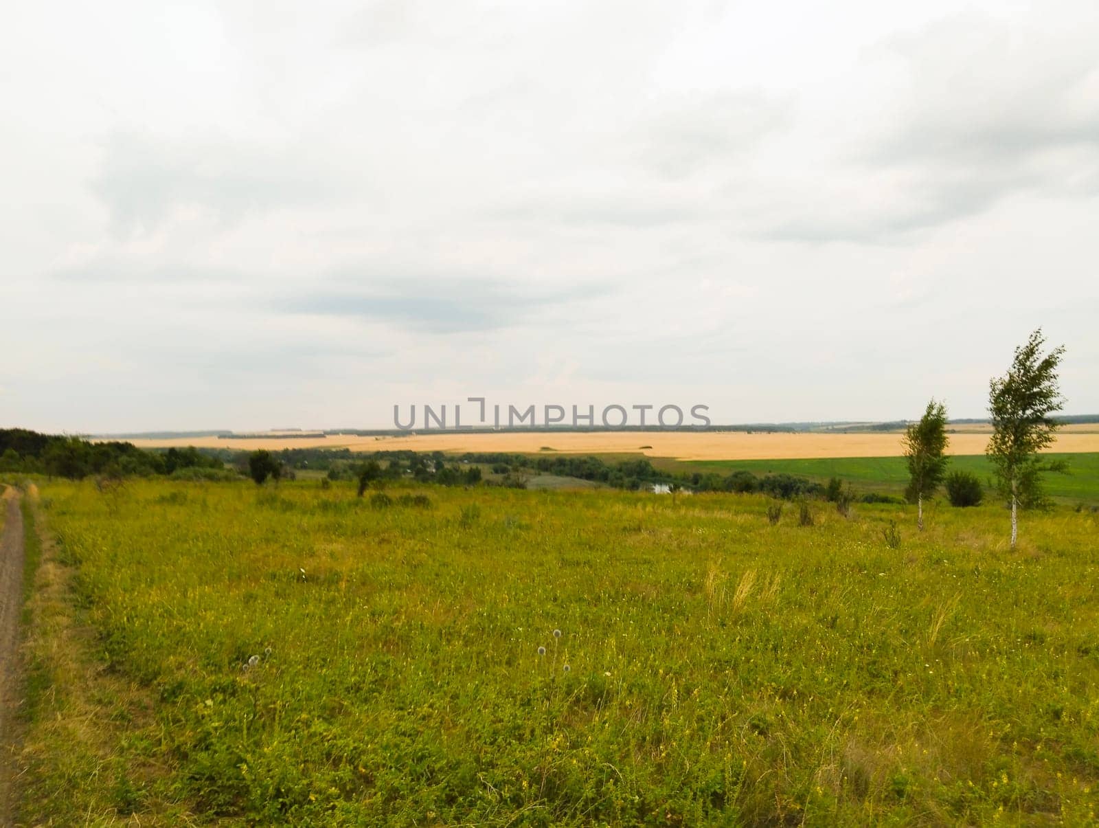 A dirt road winds through a grassy field, leading to a distant field with a cloudy sky above.