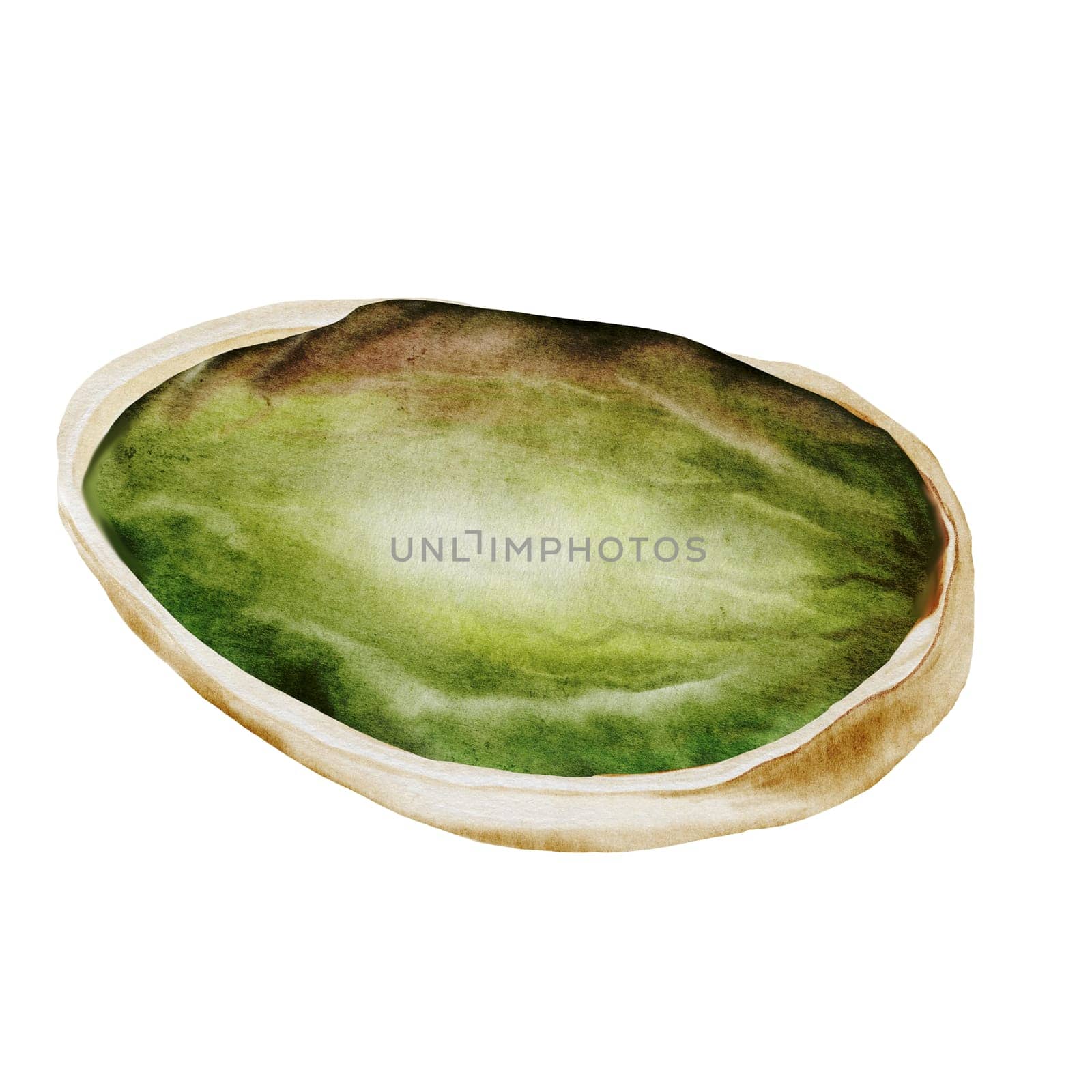 Pistachio watercolor. Hand drawn nut with shell isolated on white background. Realistic snack clip art. Ideal for logo, product packaging, banner. High quality photo