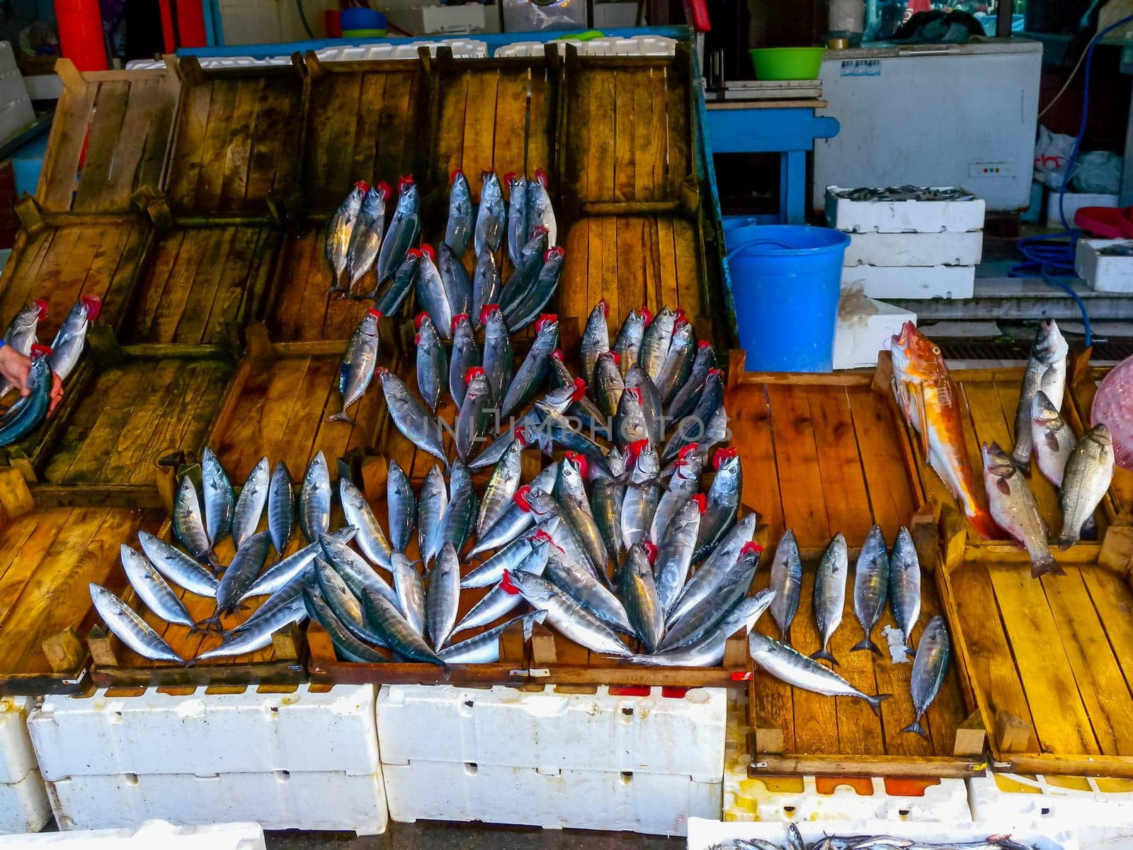 TRABZON, Türkiye - OCTOBER 22, 2014: fish market in Trabzon, Türkiye
