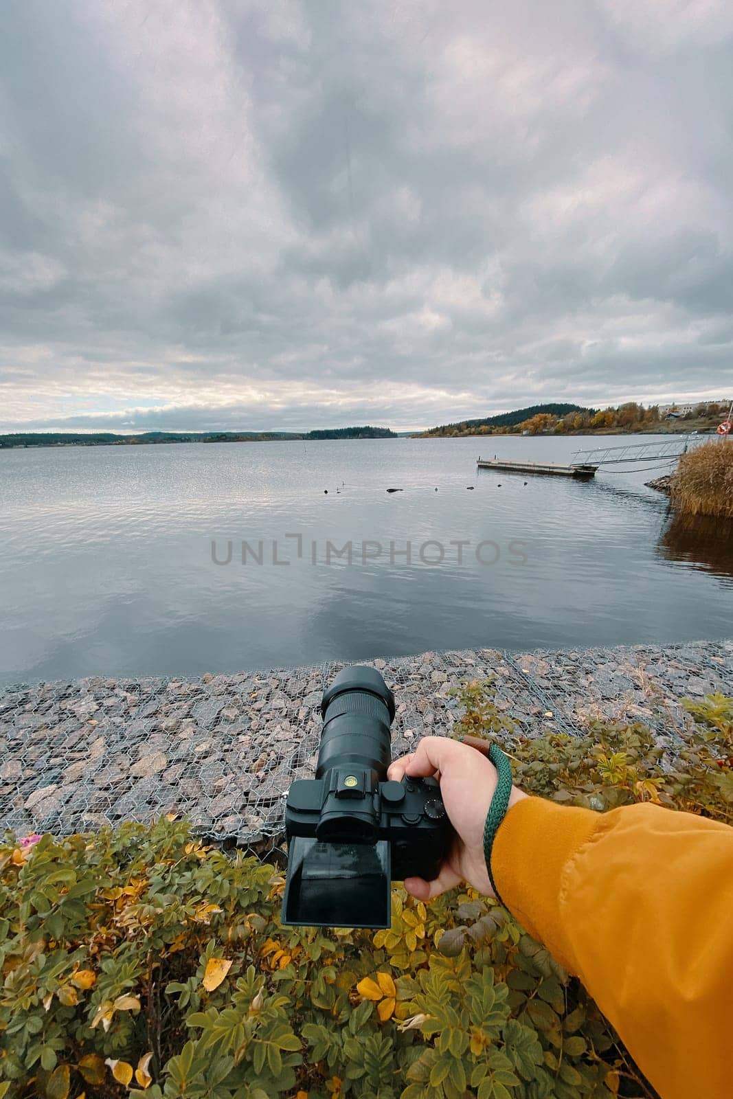 Man takes a picture of a calm lake with ducks somewhere in the northern part of the planet. pov