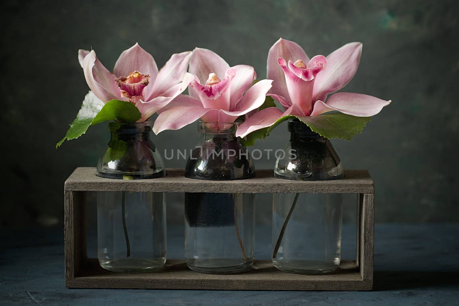 A studio photo of pink orchids in small glass bottles.