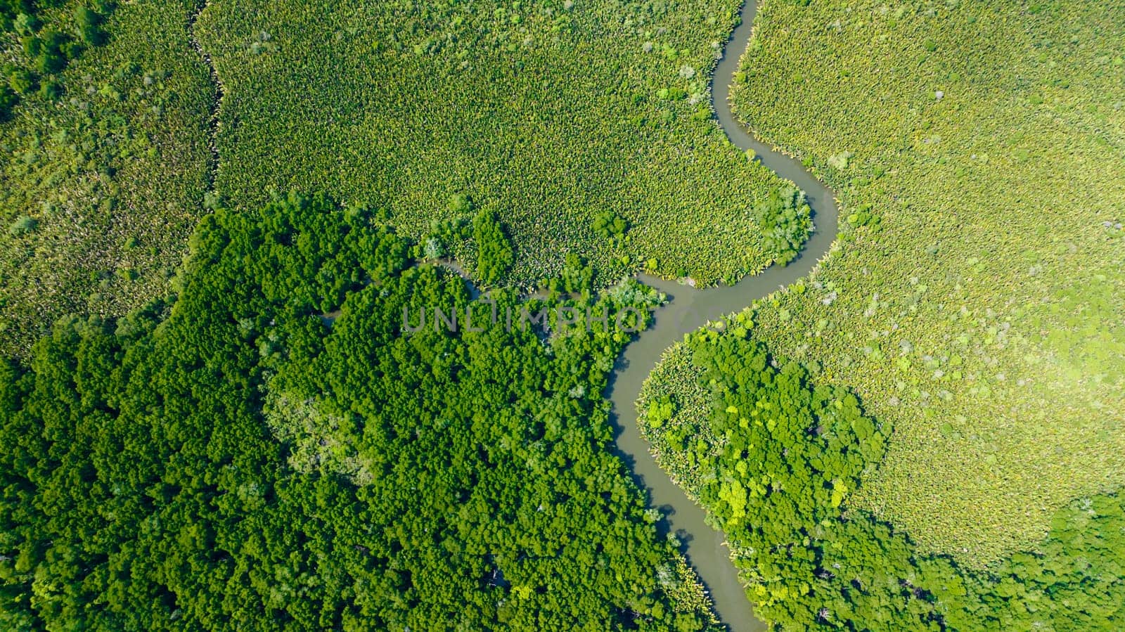 Aerial view of mangroves and rainforest on the island of Borneo. Malaysia.