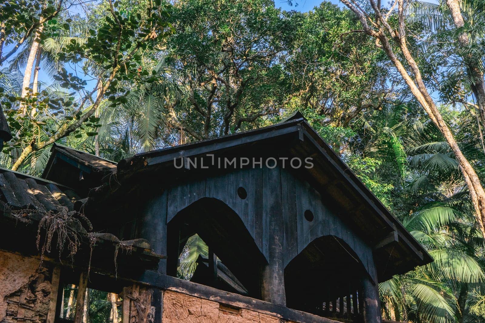 Old abandoned wooden house, in the Jardim Botanic Garden in São Paulo, Brazil.