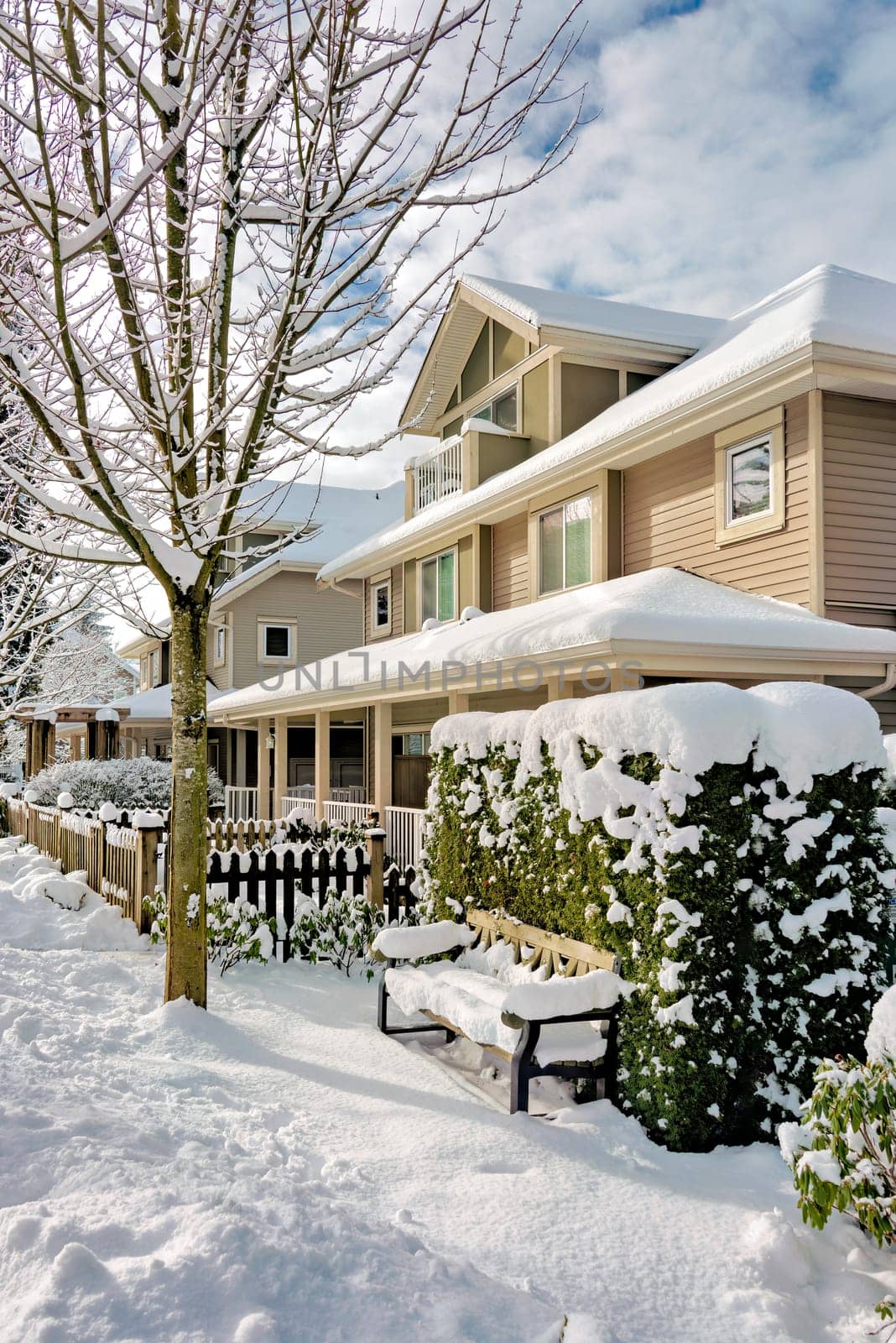 Street of residential duplex houses on sunny winter day in Coquitlam, BC, Canada.