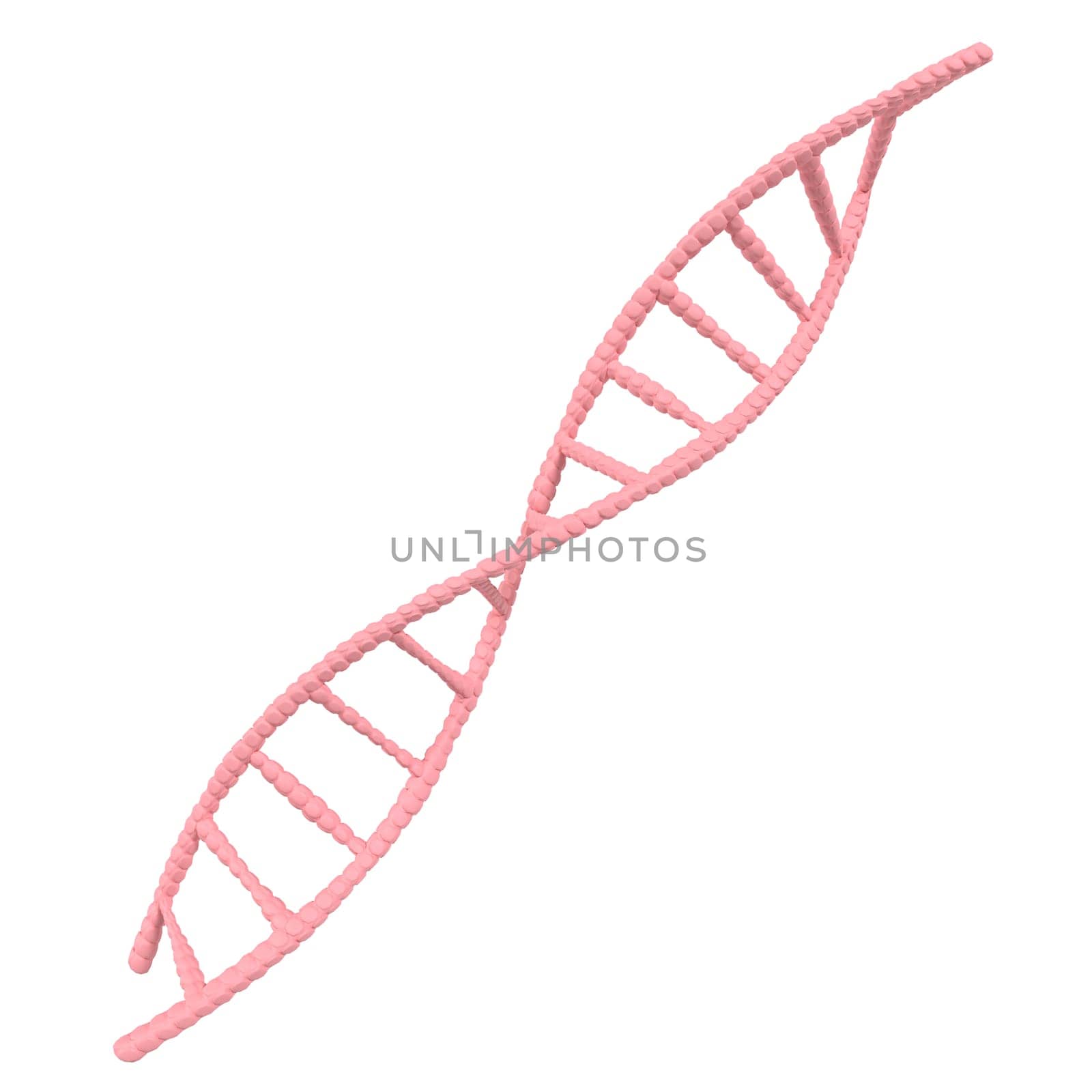 A pink DNA strand is shown in a white background