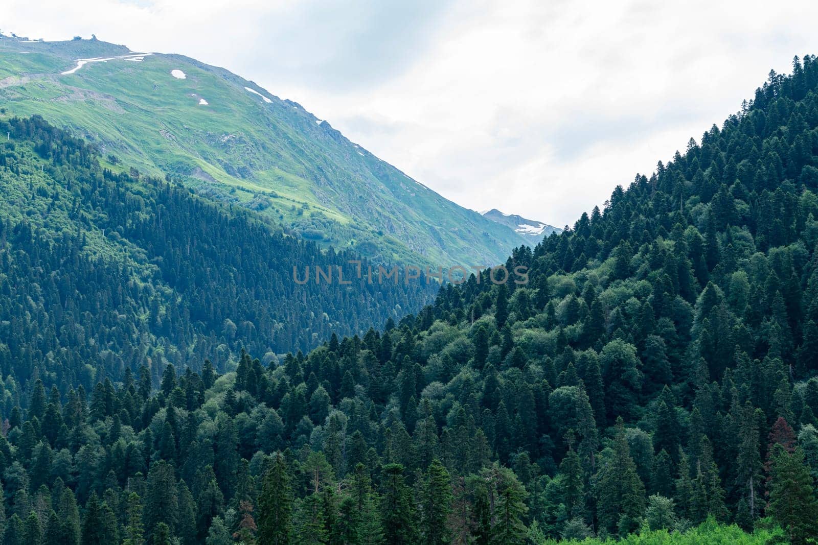 A drone flies over a mountain valley in the Caucasus Mountains. The valley is filled with green trees and a winding river. In the distance, a snow-capped peak rises above the valley.