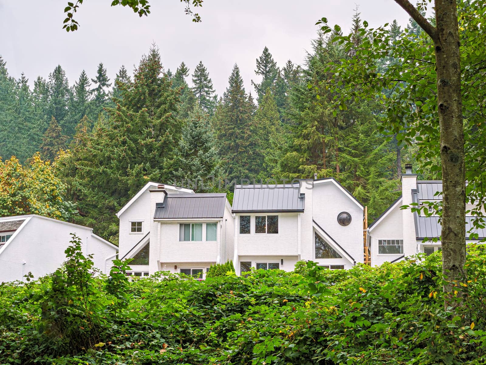 Raw of white residential houses on overcast autumn day in Canada.