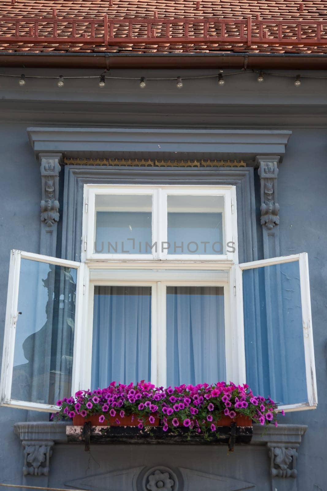 A European-style window with open white shutters, ornate trim, vibrant flowers on it, and a tiled roof.