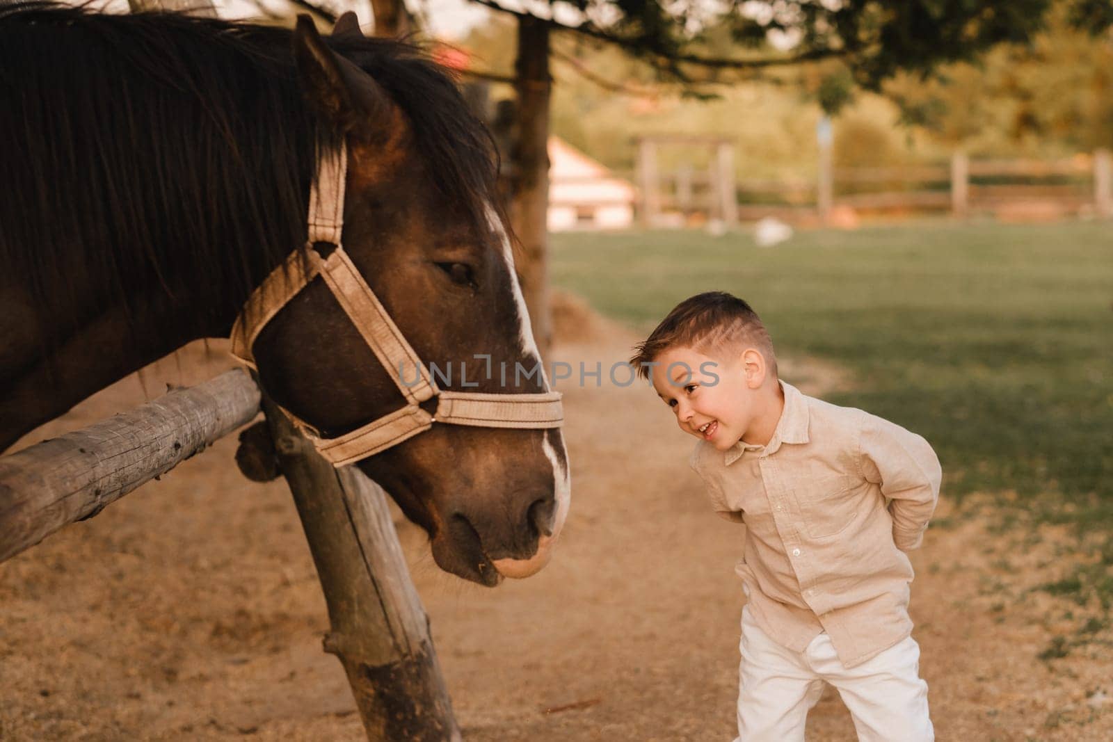 a little boy in the evening at the farm next to a horse.