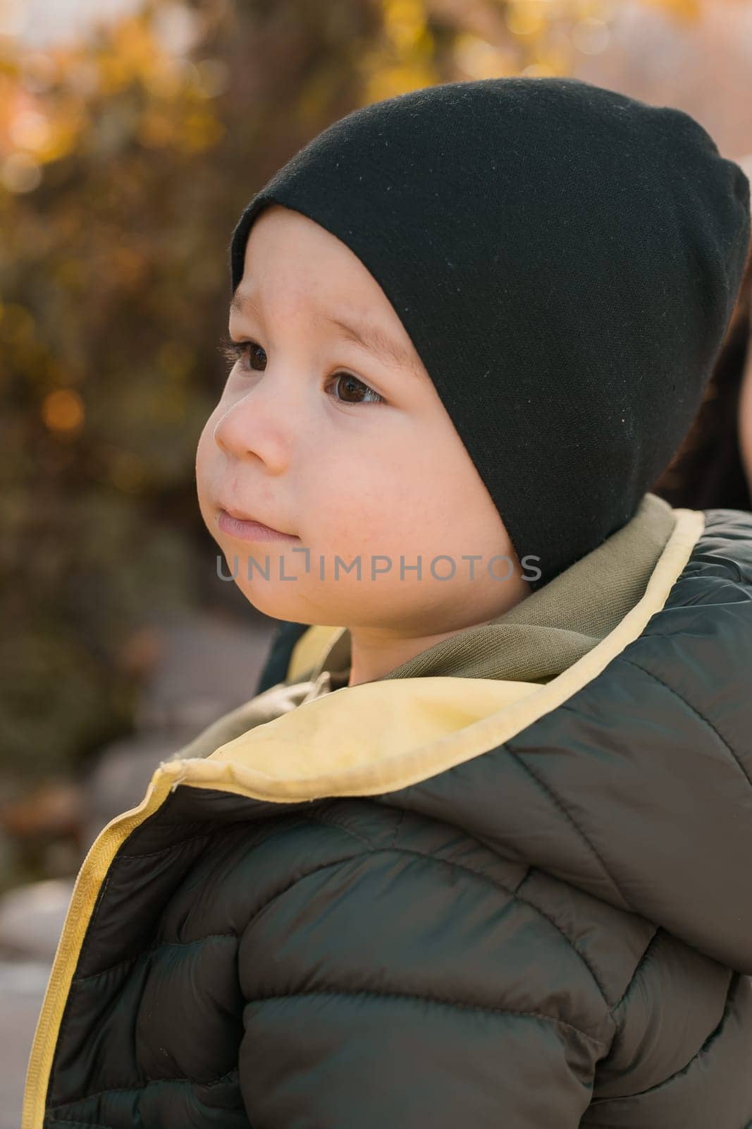 Little child boy playing in autumn park in Asia. Toddler cute Korean kid portrait close-up outdoors by Satura86