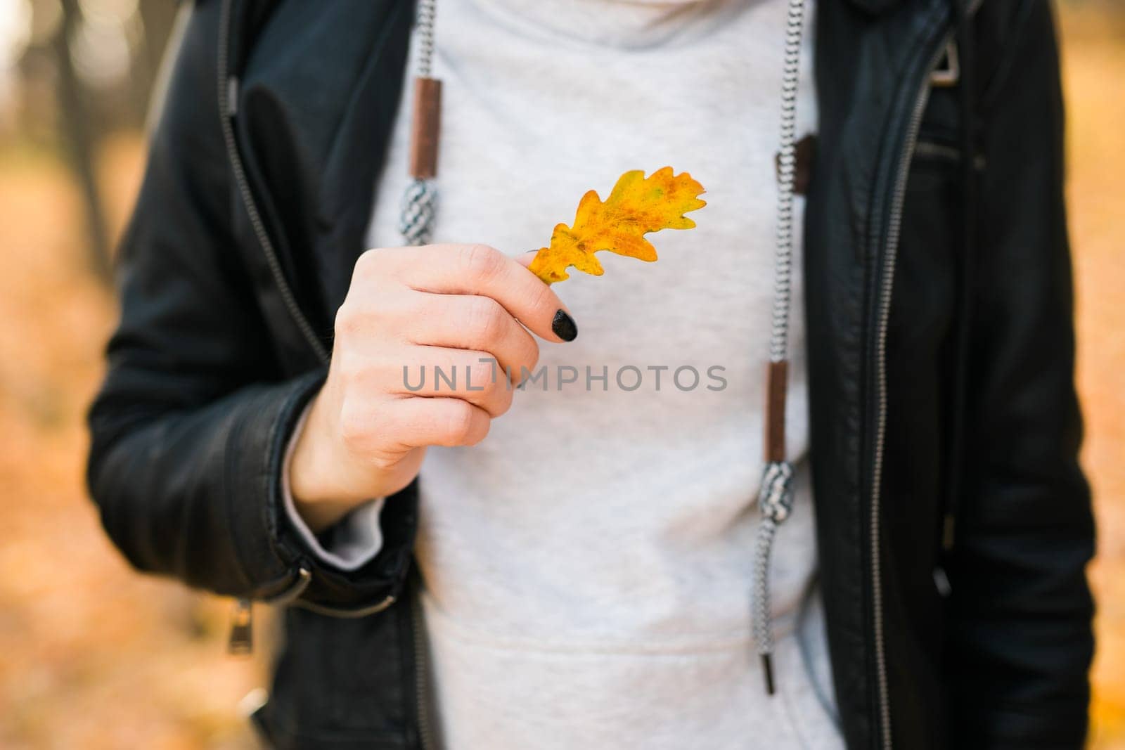 Woman holds yellow oak leaf close-up in hand in fall season copy space - autumn and nature concept by Satura86