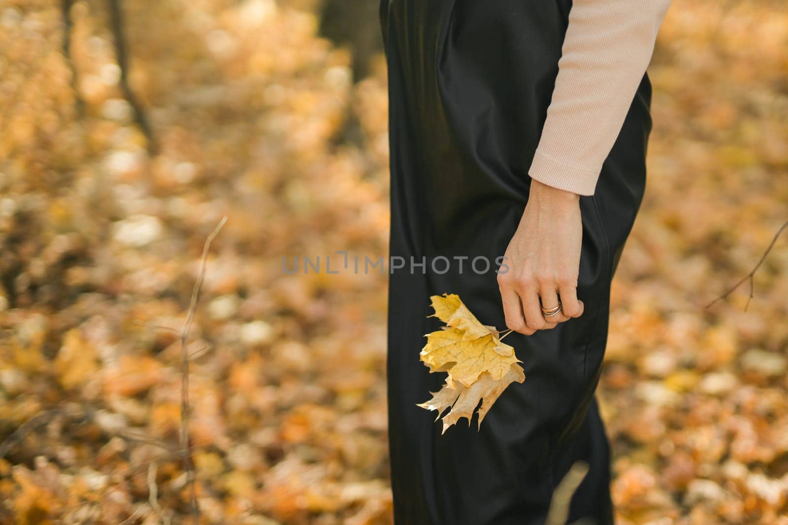 Woman holds yellow bouquet of dry autumn leaf close-up in hand in fall season copy space and nature