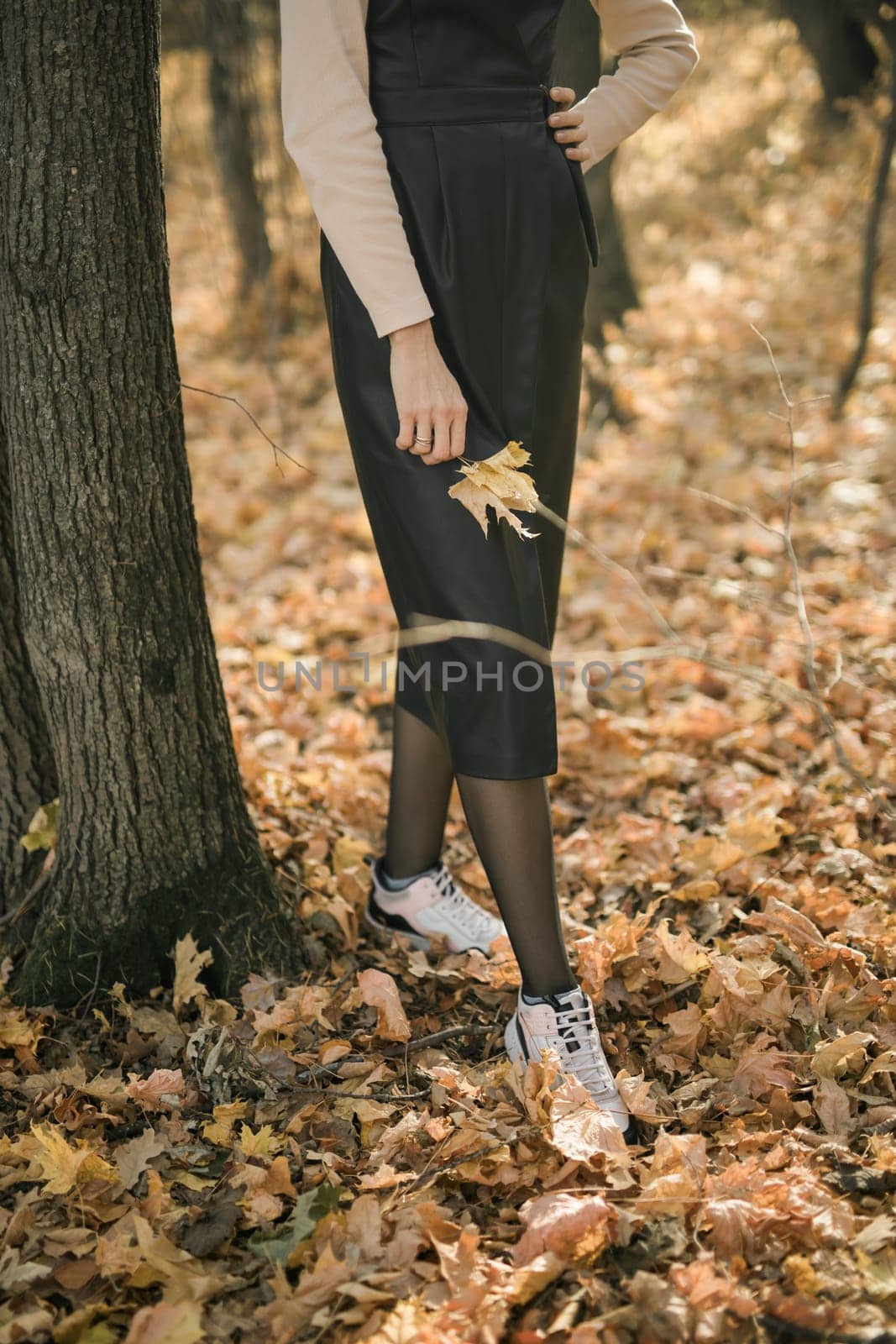 Woman holds yellow bouquet of dry autumn leaf close-up in hand in fall season copy space and nature