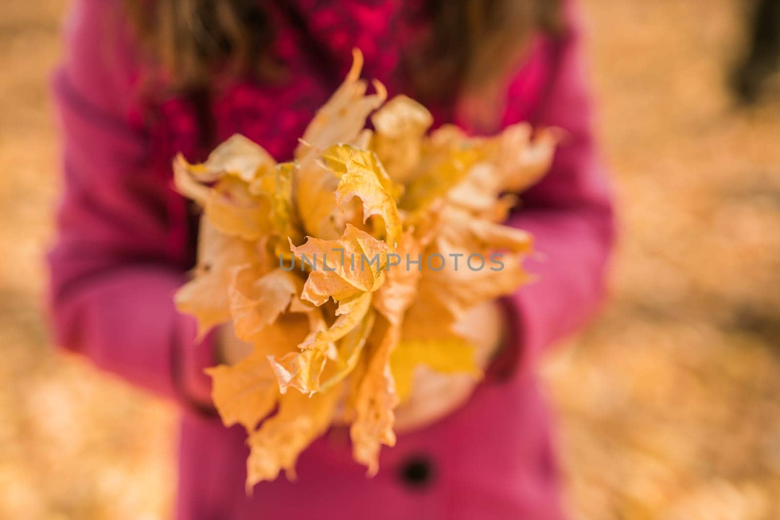 Woman holds yellow bouquet of dry autumn leaf close-up in hand in fall season copy space and nature