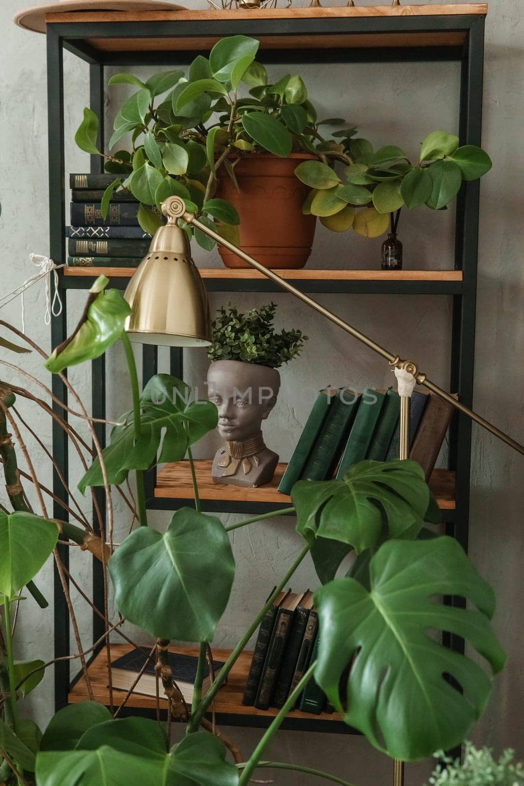 A fragment of the interior with a variety of indoor plants and plaster sculptures. Urban jungle concept. Biophilia design.