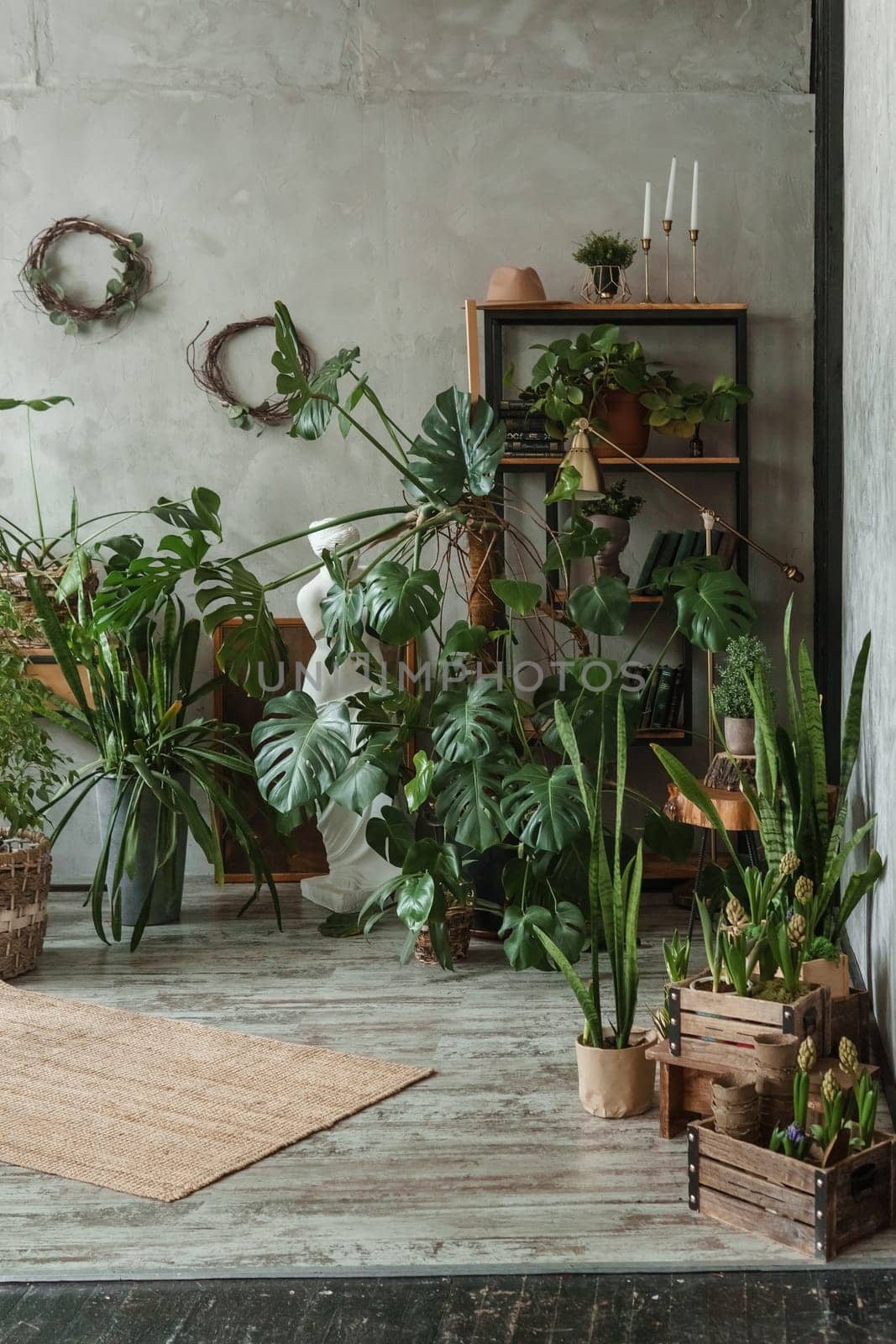 A fragment of the interior with a variety of indoor plants and plaster sculptures. Urban jungle concept. Biophilia design.