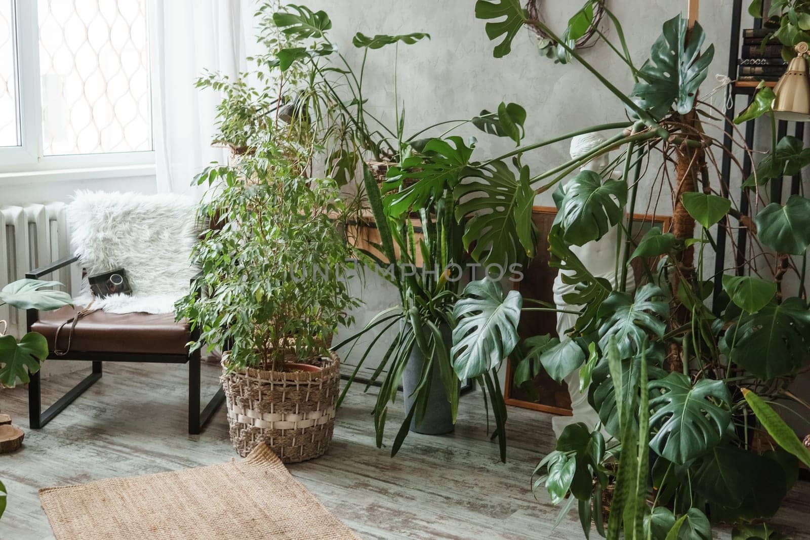 A fragment of the interior with a variety of indoor plants and plaster sculptures. Urban jungle concept. Biophilia design.