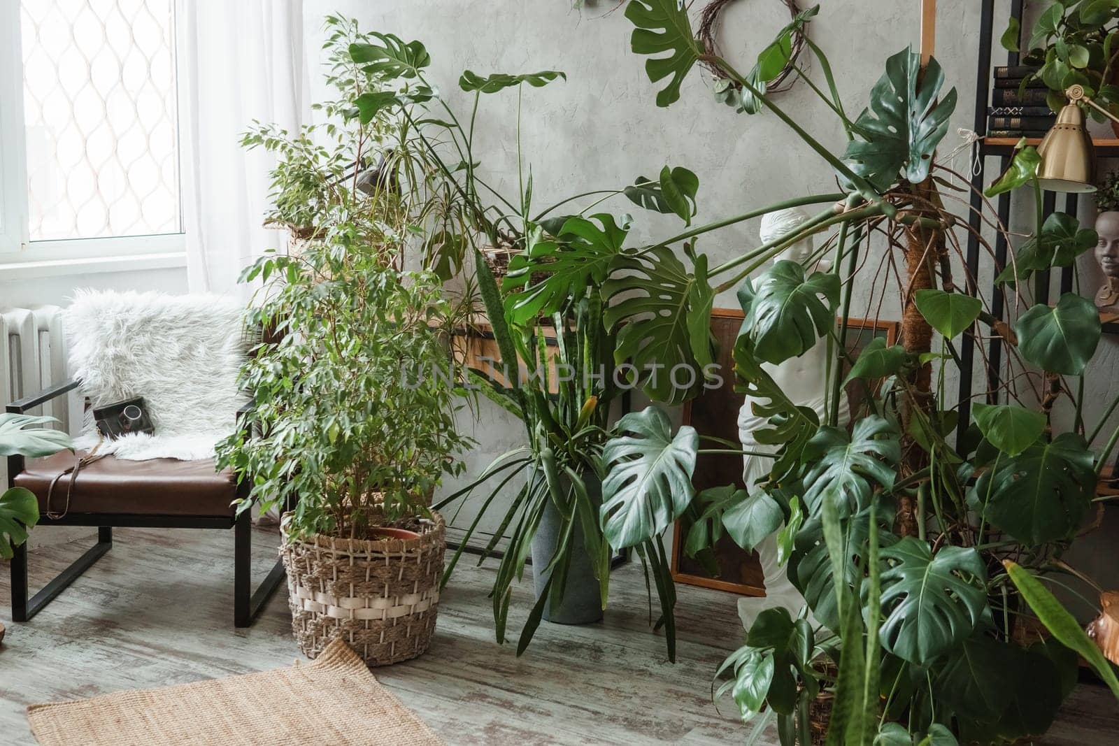 A fragment of the interior with a variety of indoor plants and plaster sculptures. Urban jungle concept. Biophilia design.