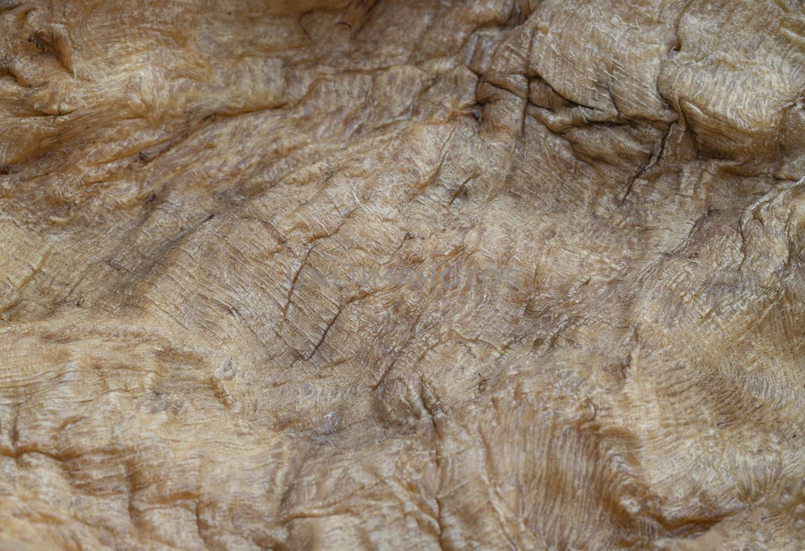 Close-up of Fish Maw Soup or Dried Fish Stomach (Dried Fish Bladder). Chinese dried food, Healthy eating lifestyle concept, Space for text, Selective focus.