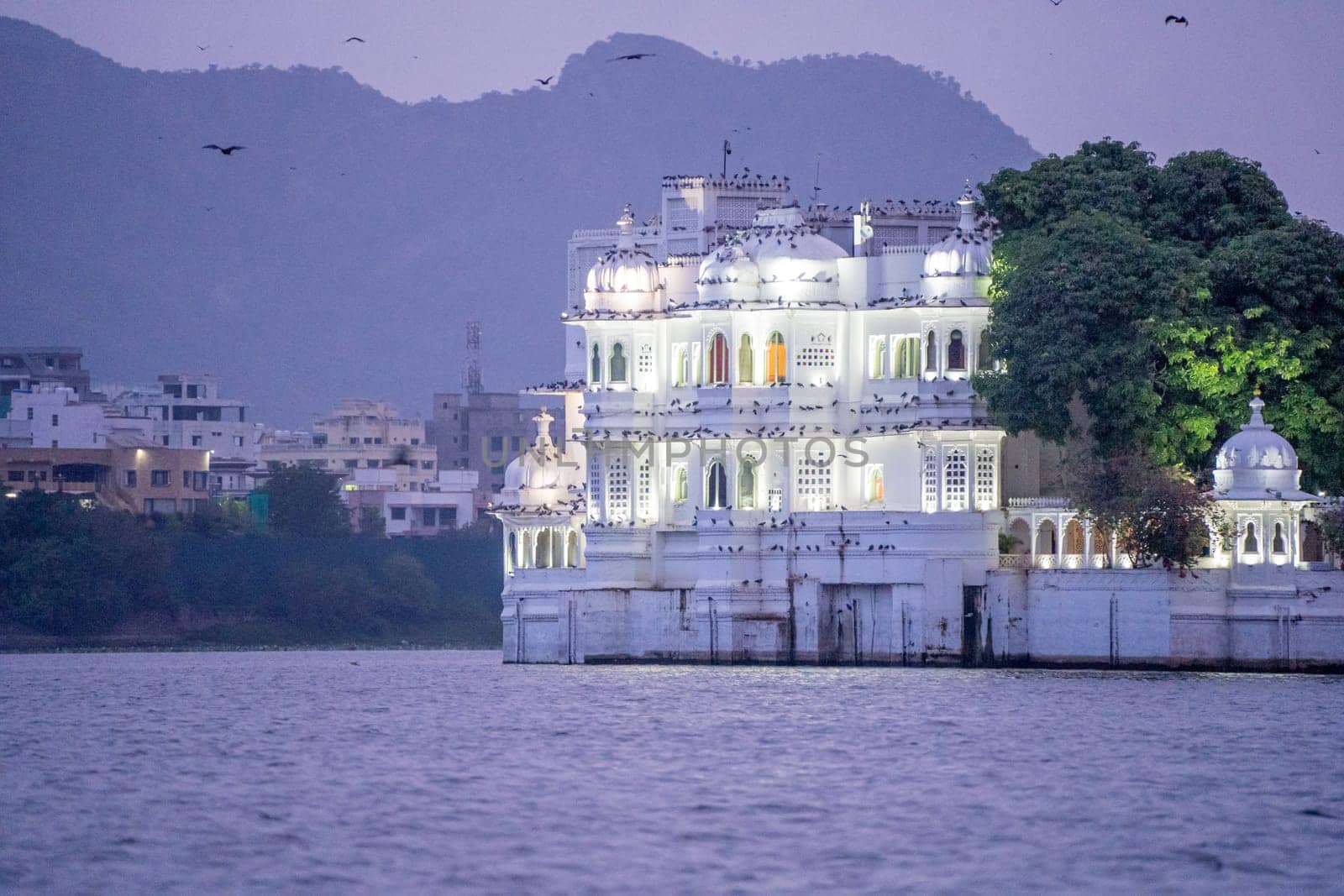 Taj lake palace hotel at dusk blue hour sunrise sunset with lights on white walls, pigeons flying and boats moving on lake pichola a famous landmark in Udaipur India