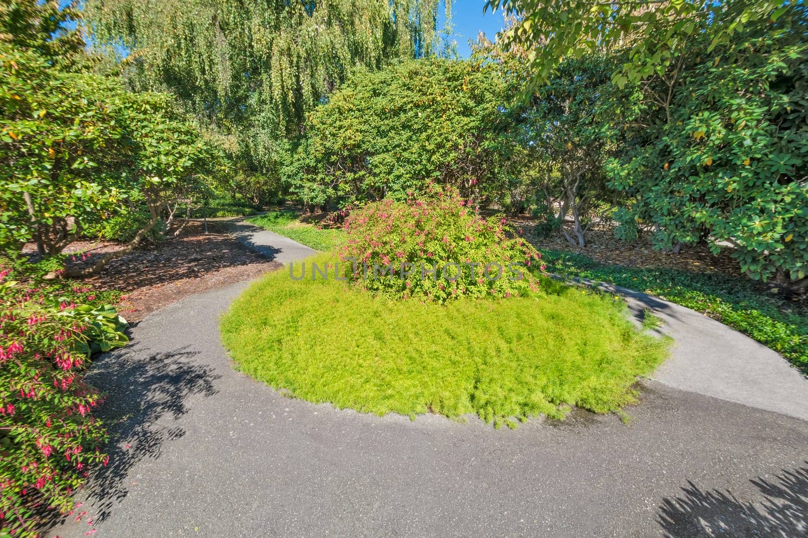 Paved pathway through a park with round flowerbed in the middle.