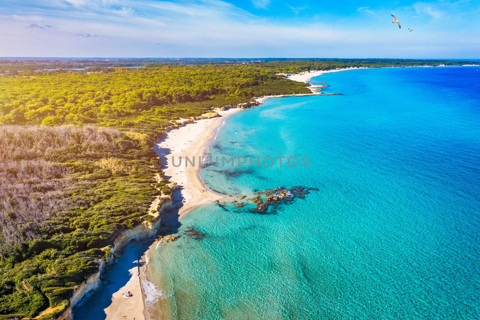 Aerial view of Baia dei Turchi, Puglia region, Italy. Turkish Bay (or Baia dei Turchi), this coast of Apulia is one of the most important ecosystems in Salento, Italy. Seacoast of Baia dei Turchi.