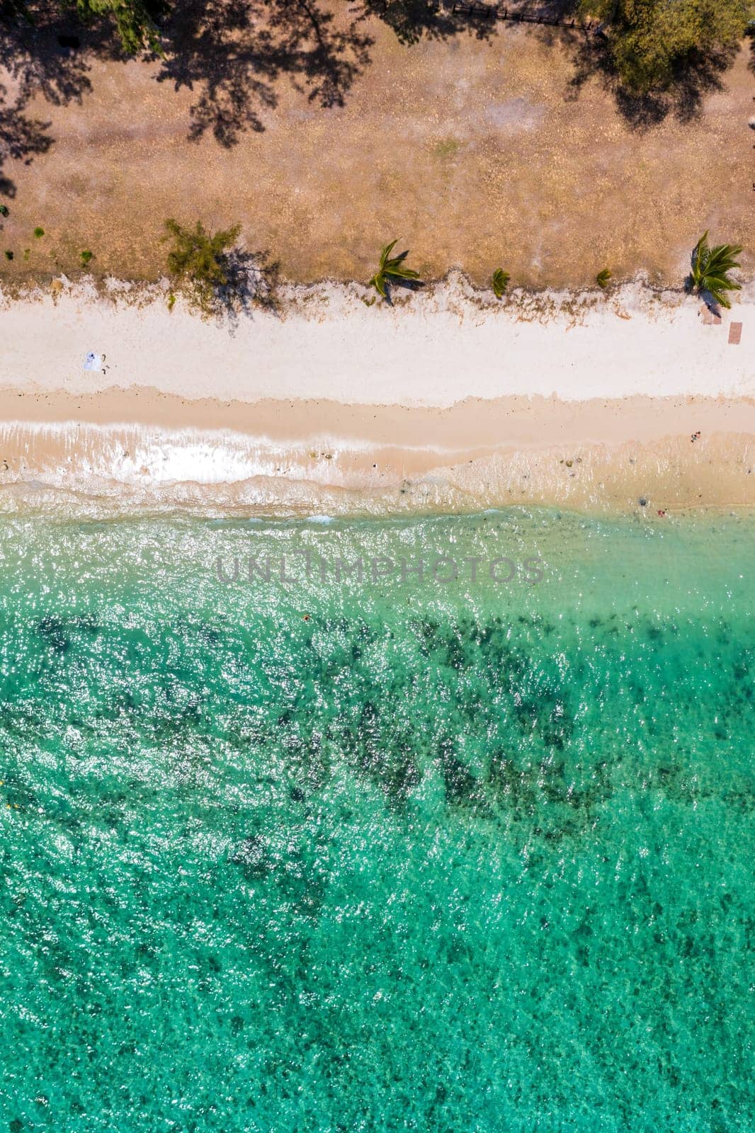 Beautiful Mauritius island with beach Flic en flac. Coral reef around tropical palm beach, Flic en Flac, Mauritius. Aerial view of a beautiful beach along the coast in Flic en Flac, Mauritius.