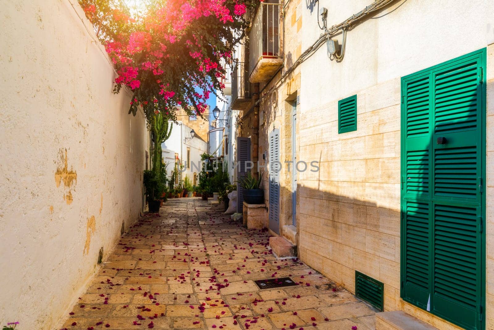 Spectacular cityscape of Polignano a Mare town, Puglia region, Italy, Europe. Polignano Al Mare, scenic small town in Puglia, Italy. Polignano a Mare village on the rocks, Bari, Apulia, Italy. 