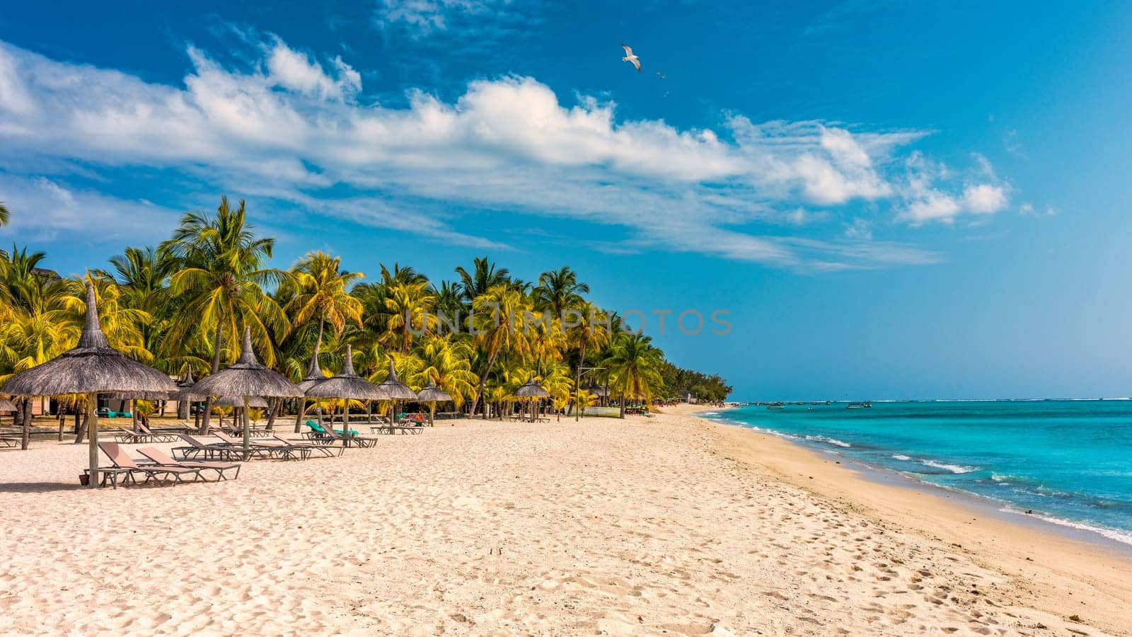 A beach with palm trees and umbrellas on Le morne Brabant beach in Mauriutius. Tropical crystal ocean with Le Morne beach and luxury beach in Mauritius. Le Morne beach with palm trees, white sand and luxury resorts, Mauritius.