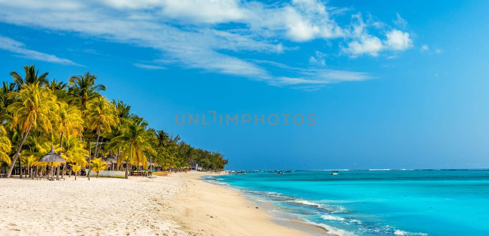 Palm trees on the tropical Le Morne beach, Mauritius. Tropical vacation background concept on Le Morne beach, Mauritius. Paradise beach on Mauritius island, palm trees, white sand, azure water.