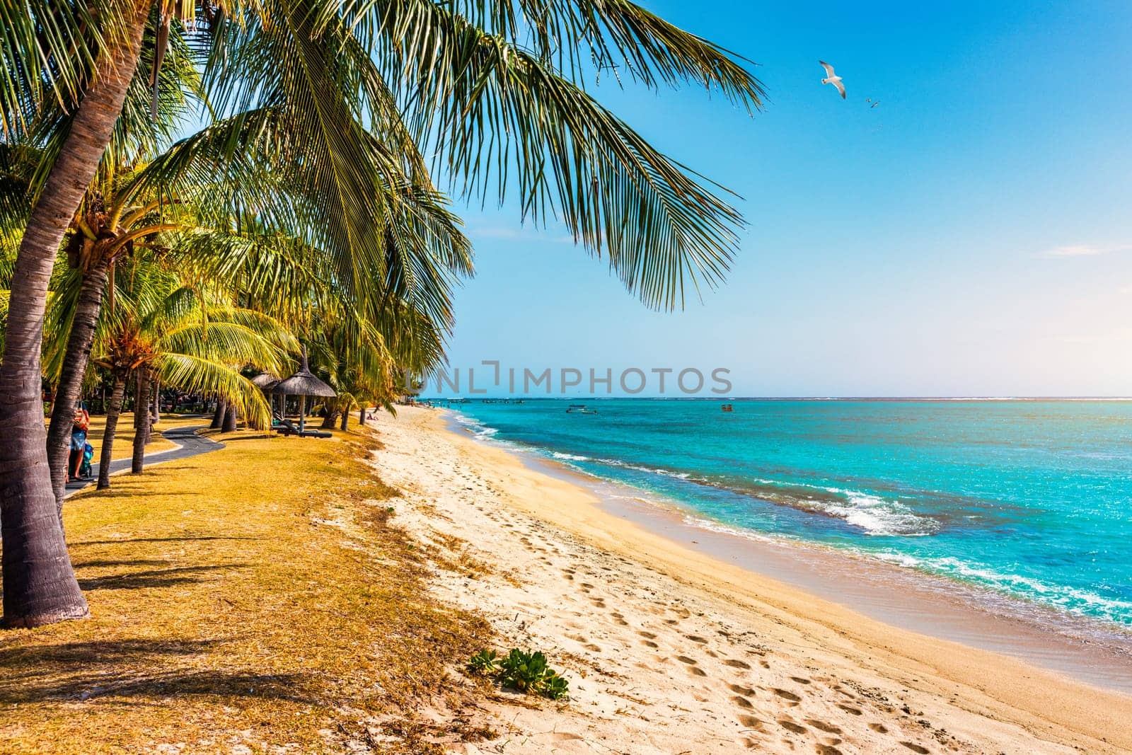 A beach with palm trees and umbrellas on Le morne Brabant beach in Mauriutius. Tropical crystal ocean with Le Morne beach and luxury beach in Mauritius. Le Morne beach with palm trees, white sand and luxury resorts, Mauritius.