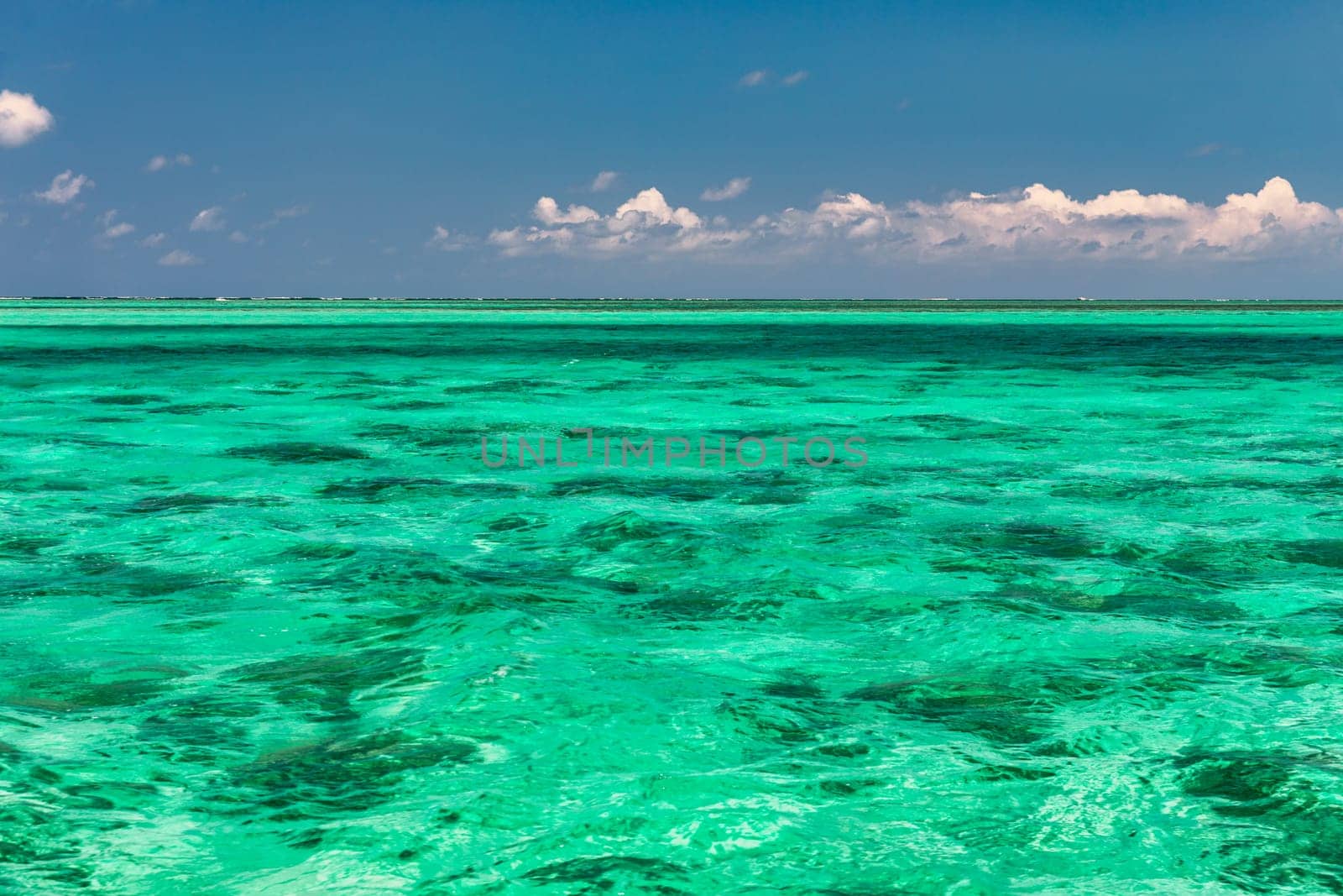 Water surface in vibrant green. View of a crystal clear sea water texture. View natural sea water, green background. Green water reflection. Green ocean wave.