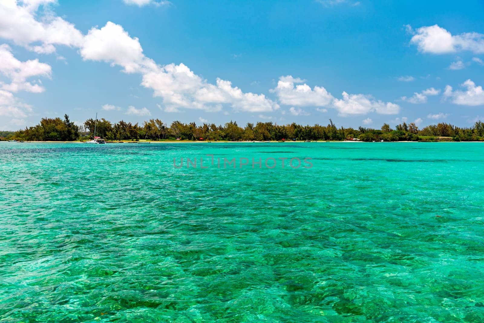Water surface in vibrant green. View of a crystal clear sea water texture. View natural sea water, green background. Green water reflection. Green ocean wave.