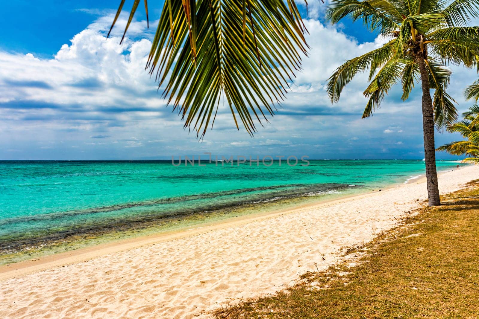 Palm trees on the tropical Le Morne beach, Mauritius. Tropical vacation background concept on Le Morne beach, Mauritius. Paradise beach on Mauritius island, palm trees, white sand, azure water.