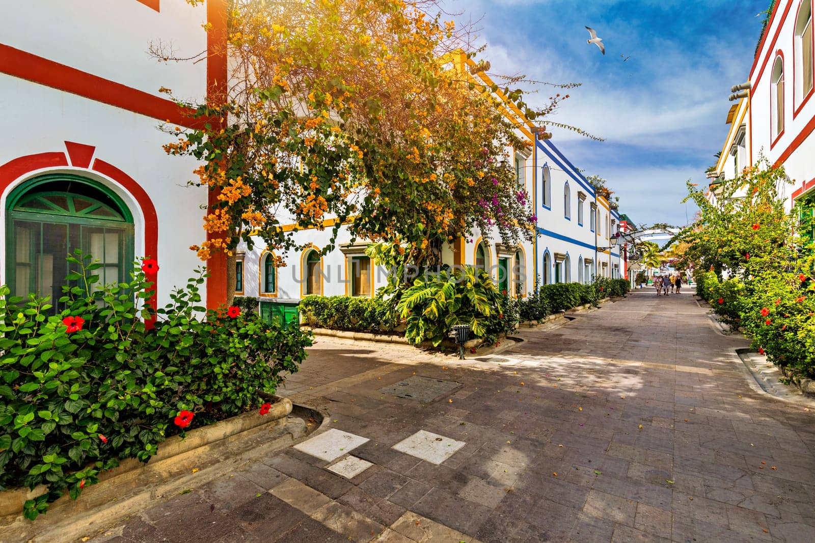 Street with blooming flowers in Puerto de Mogan, Gran Canaria, Spain. Favorite vacation place for tourists and locals on island. Puerto de Mogan with lots of bougainvillea flowers, Canary Island.