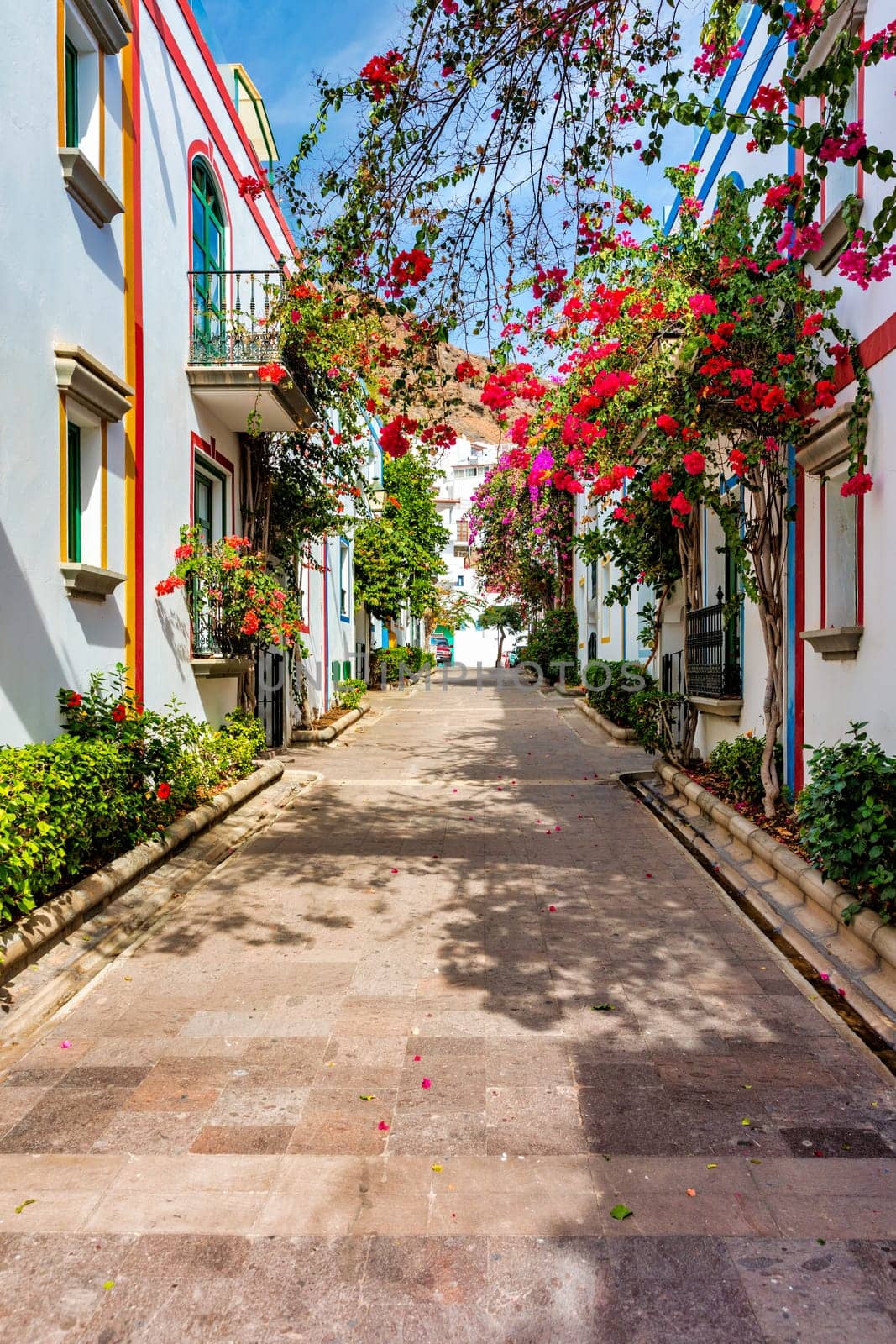 Street with blooming flowers in Puerto de Mogan, Gran Canaria, Spain. Favorite vacation place for tourists and locals on island. Puerto de Mogan with lots of bougainvillea flowers, Canary Island.