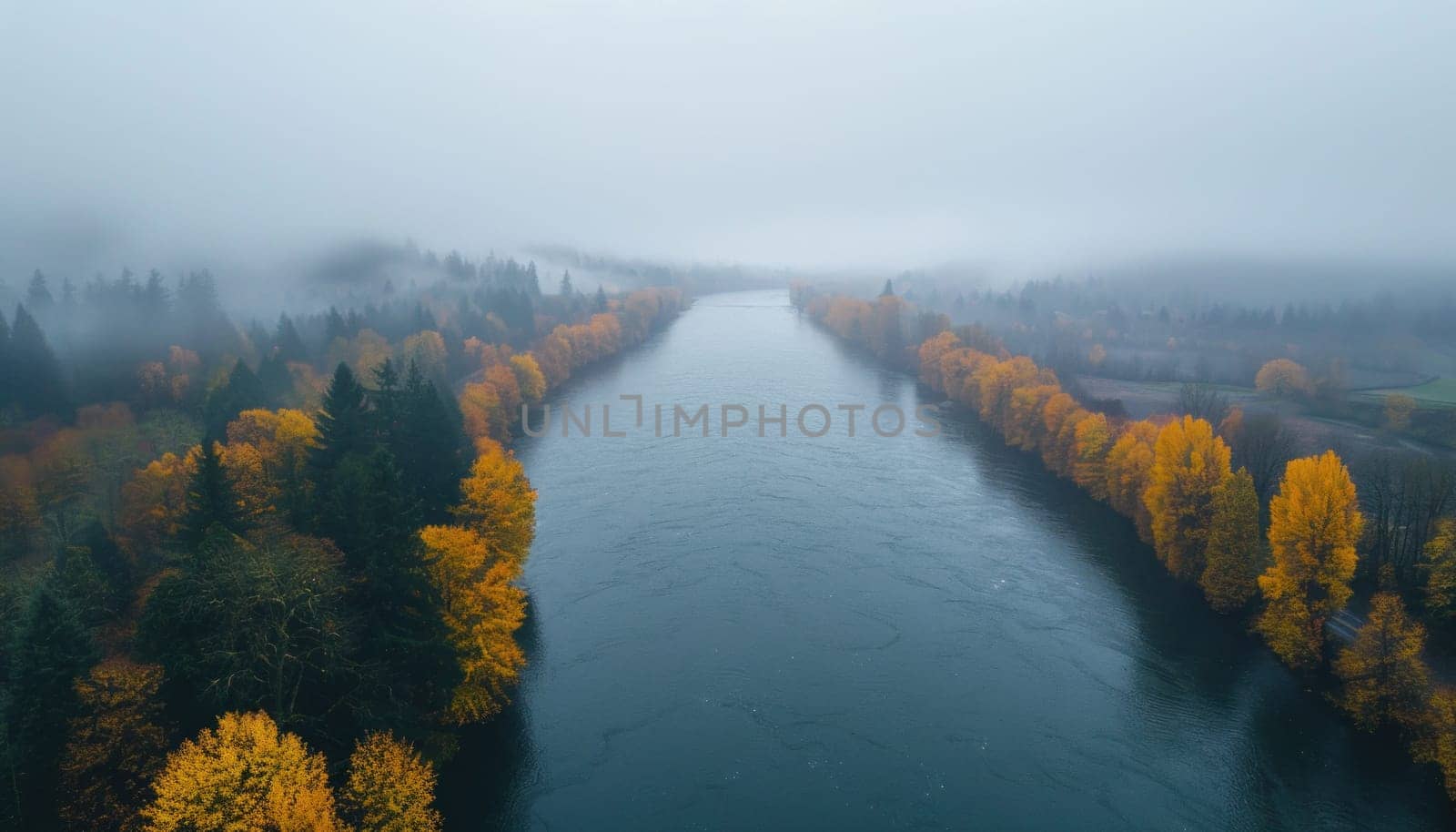 Aerial view of a river flowing through a misty forest with fall foliage
