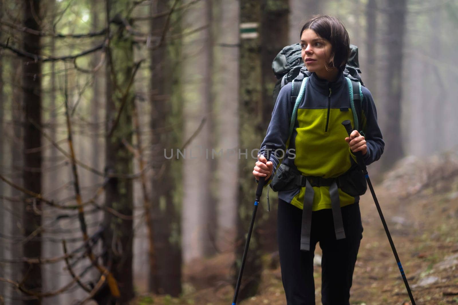A young girl is engaged in active pastime, walks in the mountains along the trail, the forest with relict trees at sunset on the background. Traveler is hiking in the national park.