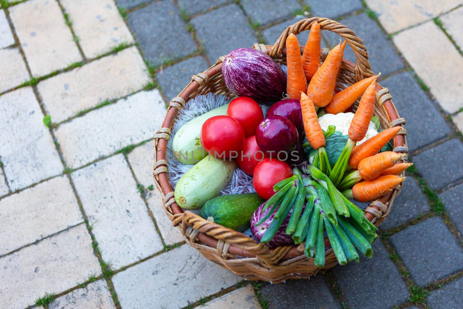 Different freshly harvested vegetables outdoors on sunny day.
